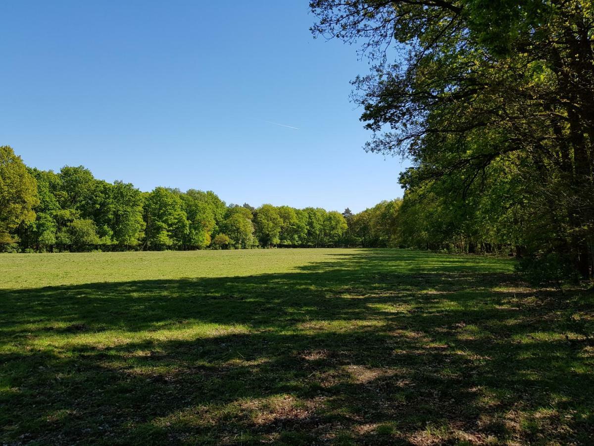 Bungalow Hartje Veluwe Otterlo Kültér fotó
